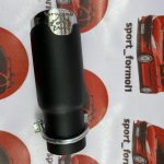 سراگزوز ریموس کوچک