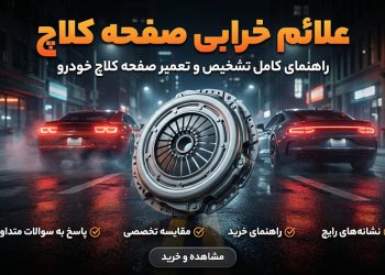 photo_1_2026-02-19_10-49-01