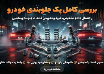 photo_2_2026-02-19_10-49-01