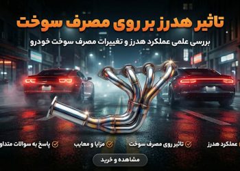 photo_3_2026-02-19_10-49-01