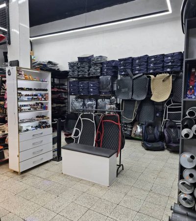 photo_3_2026-02-19_11-07-28