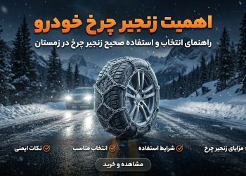 photo_4_2026-02-19_10-49-01