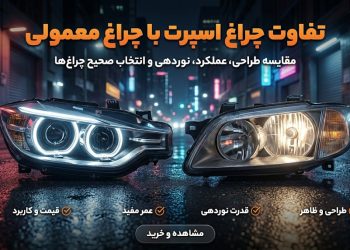 photo_5_2026-02-19_10-49-01