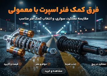 photo_6_2026-02-19_10-49-01