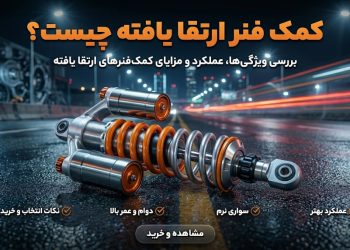 photo_8_2026-02-19_10-49-01